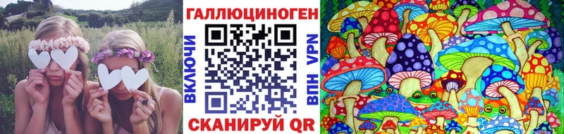 цены наркотик  Междуреченск  Галлюциногенные грибы MAGIC MUSHROOMS 